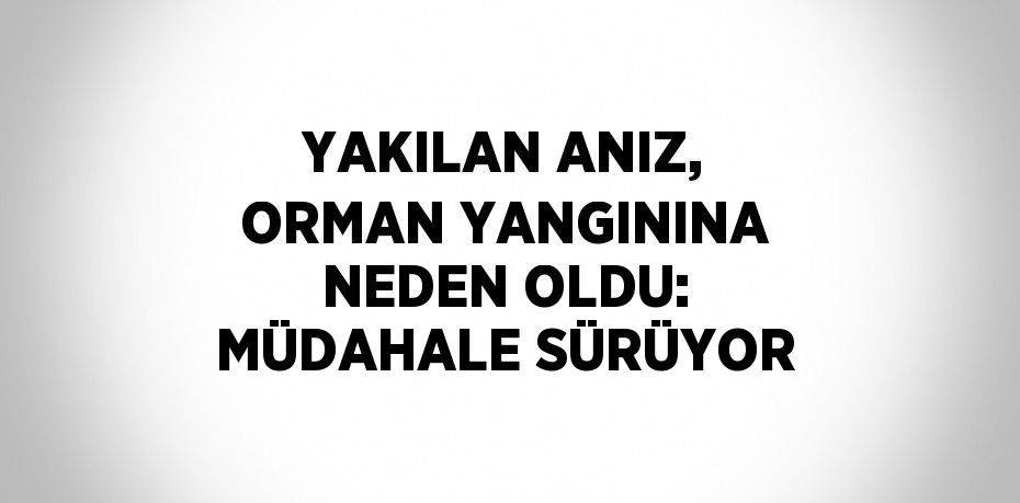 YAKILAN ANIZ, ORMAN YANGININA NEDEN OLDU: MÜDAHALE SÜRÜYOR