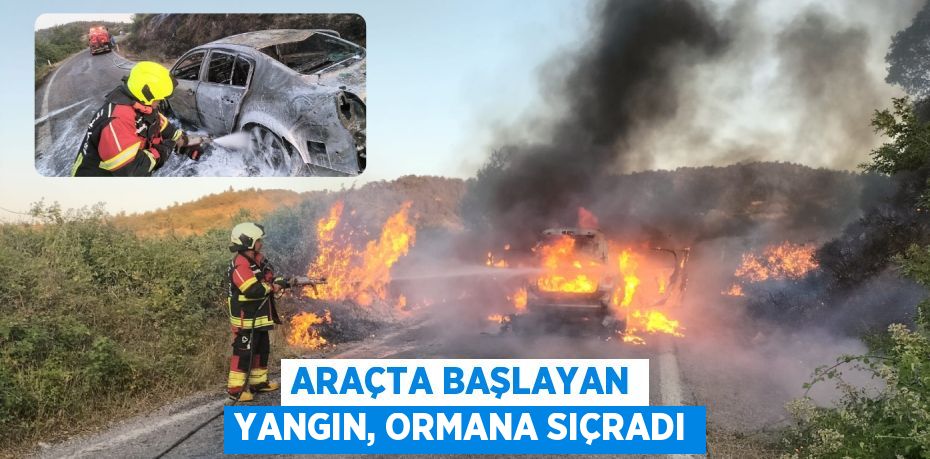 Araçta başlayan yangın, ormana sıçradı