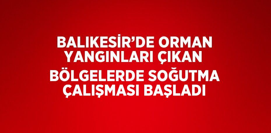 BALIKESİR’DE ORMAN YANGINLARI ÇIKAN BÖLGELERDE SOĞUTMA ÇALIŞMASI BAŞLADI