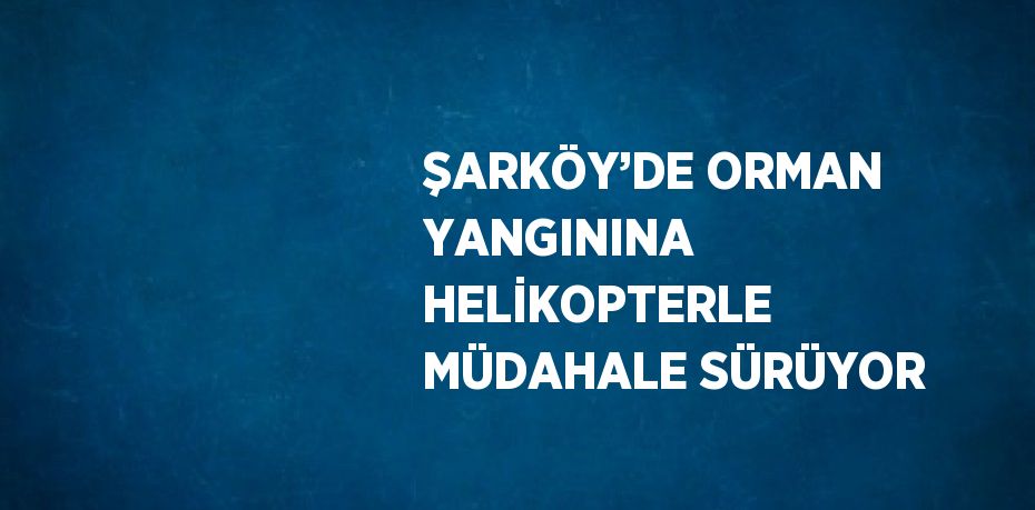 ŞARKÖY’DE ORMAN YANGININA HELİKOPTERLE MÜDAHALE SÜRÜYOR