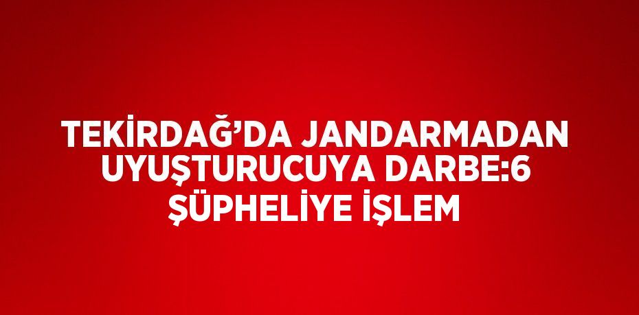 TEKİRDAĞ’DA JANDARMADAN UYUŞTURUCUYA DARBE:6 ŞÜPHELİYE İŞLEM