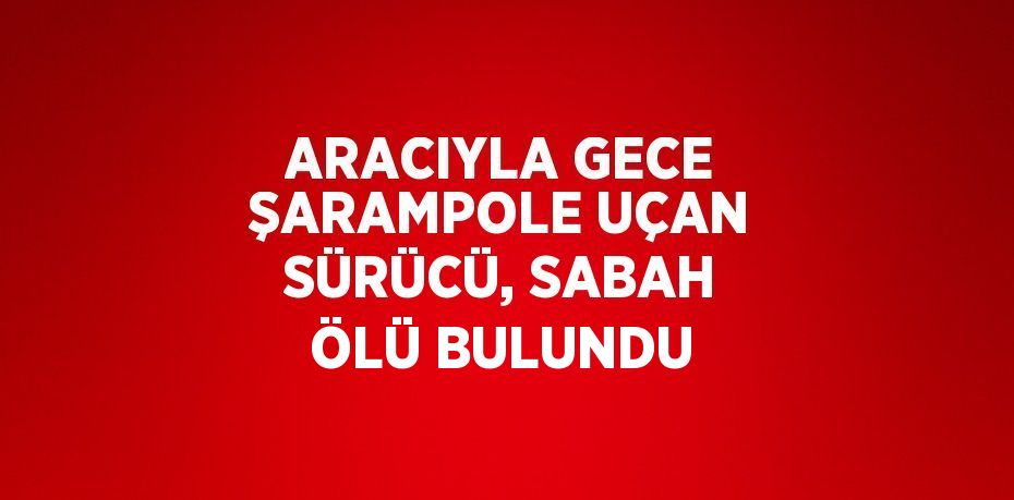 ARACIYLA GECE ŞARAMPOLE UÇAN SÜRÜCÜ, SABAH ÖLÜ BULUNDU