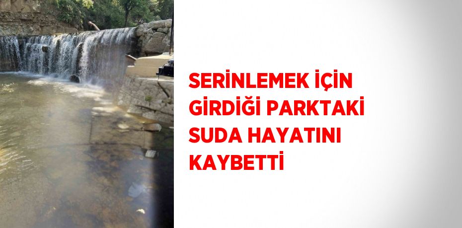 SERİNLEMEK İÇİN GİRDİĞİ PARKTAKİ SUDA HAYATINI KAYBETTİ