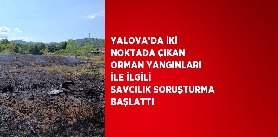 YALOVA’DA İKİ NOKTADA ÇIKAN ORMAN YANGINLARI İLE İLGİLİ SAVCILIK SORUŞTURMA BAŞLATTI