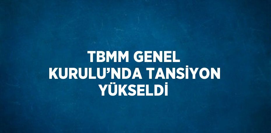 TBMM GENEL KURULU’NDA TANSİYON YÜKSELDİ