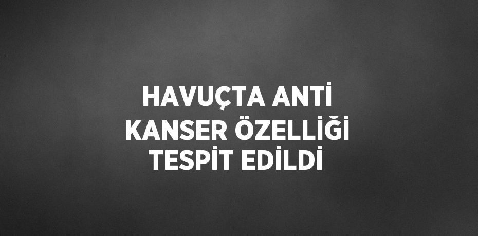 HAVUÇTA ANTİ KANSER ÖZELLİĞİ TESPİT EDİLDİ