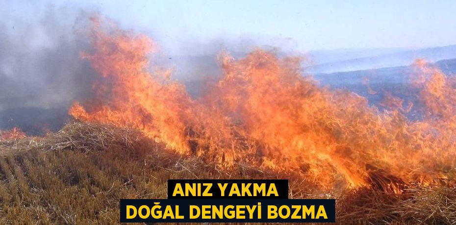 ANIZ YAKMA DOĞAL DENGEYİ BOZMA