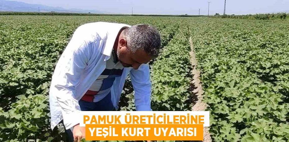 PAMUK ÜRETİCİLERİNE YEŞİL KURT UYARISI