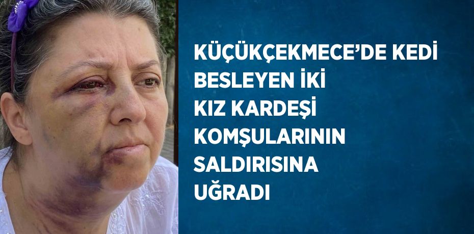 KÜÇÜKÇEKMECE’DE KEDİ BESLEYEN İKİ KIZ KARDEŞİ KOMŞULARININ SALDIRISINA UĞRADI