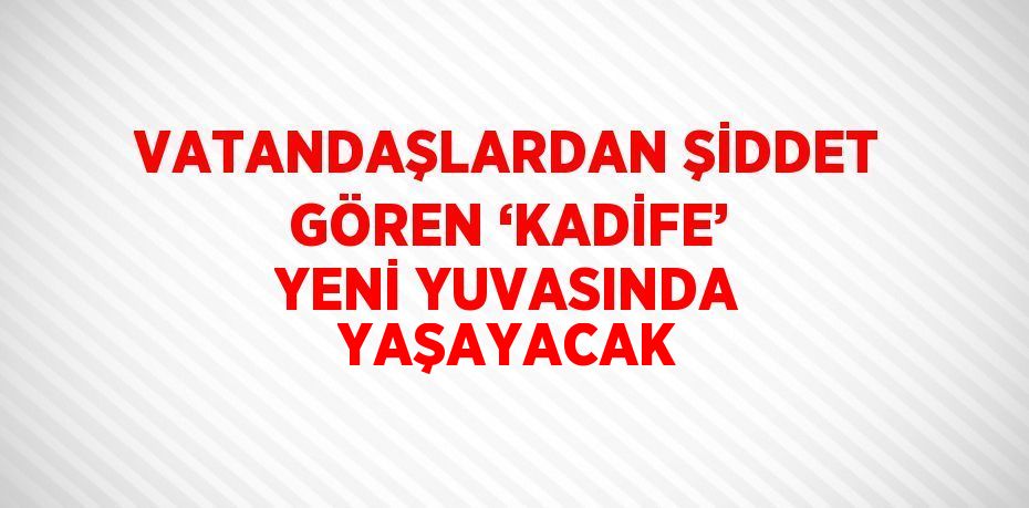 VATANDAŞLARDAN ŞİDDET GÖREN ‘KADİFE’ YENİ YUVASINDA YAŞAYACAK