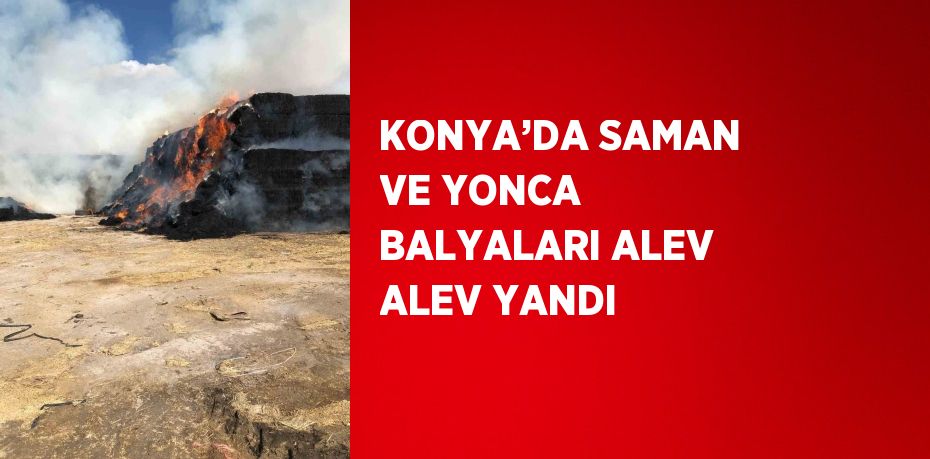 KONYA’DA SAMAN VE YONCA BALYALARI ALEV ALEV YANDI