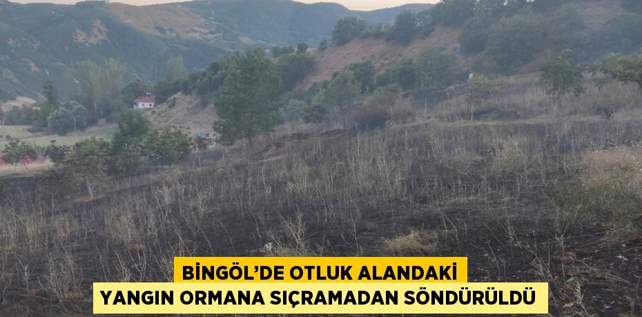 BİNGÖL’DE OTLUK ALANDAKİ YANGIN ORMANA SIÇRAMADAN SÖNDÜRÜLDÜ