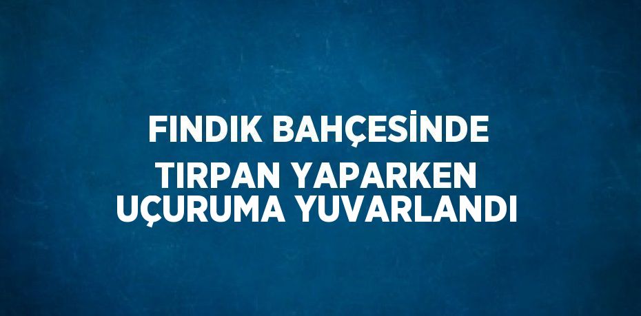 FINDIK BAHÇESİNDE TIRPAN YAPARKEN UÇURUMA YUVARLANDI