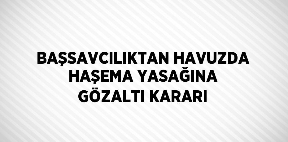 BAŞSAVCILIKTAN HAVUZDA HAŞEMA YASAĞINA GÖZALTI KARARI