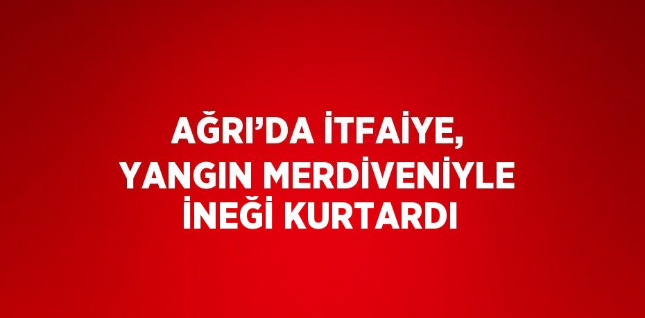 AĞRI’DA İTFAİYE, YANGIN MERDİVENİYLE İNEĞİ KURTARDI