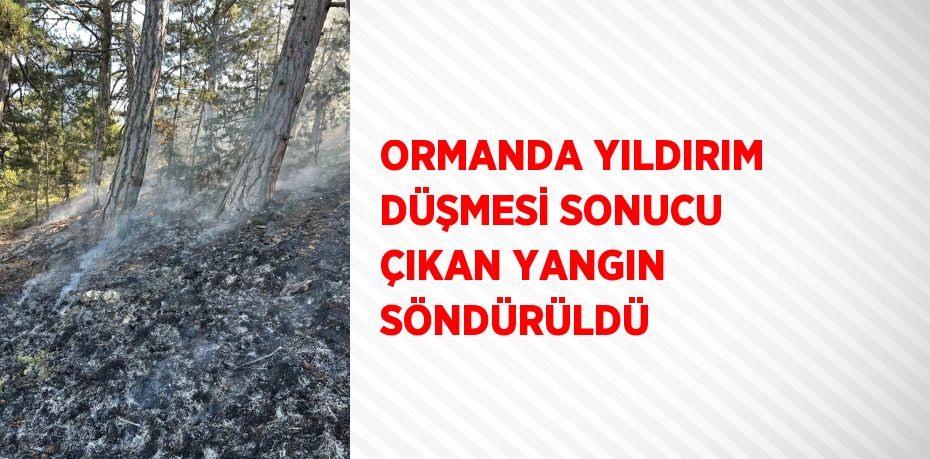 ORMANDA YILDIRIM DÜŞMESİ SONUCU ÇIKAN YANGIN SÖNDÜRÜLDÜ