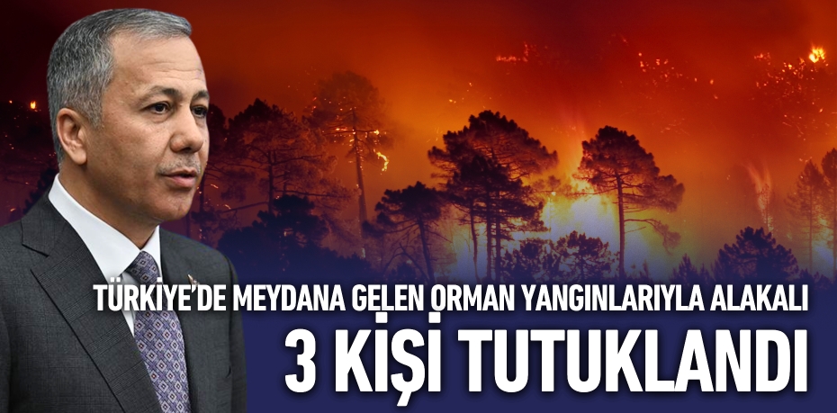 TÜRKİYE’DE MEYDANA GELEN ORMAN YANGINLARIYLA ALAKALI 3 KİŞİ TUTUKLANDI