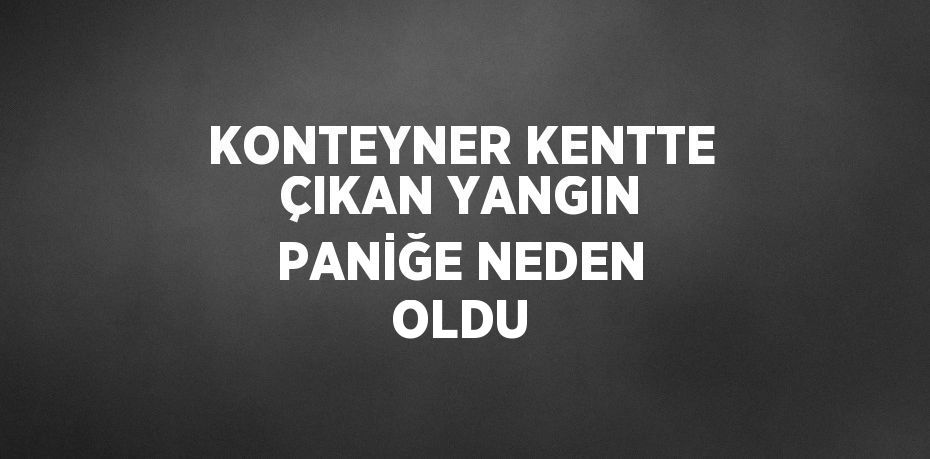 KONTEYNER KENTTE ÇIKAN YANGIN PANİĞE NEDEN OLDU