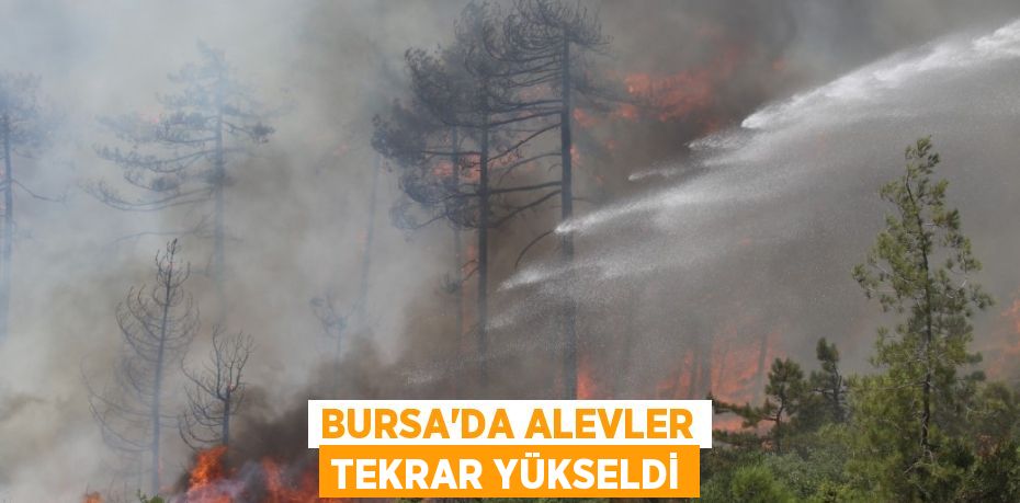 Bursa’da alevler tekrar yükseldi