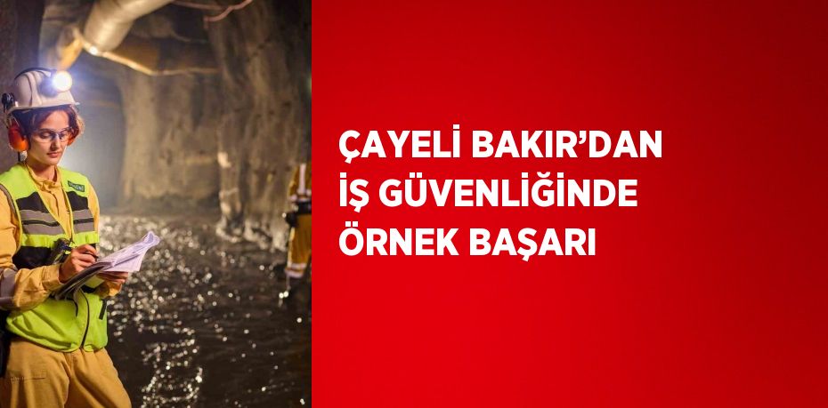 ÇAYELİ BAKIR’DAN İŞ GÜVENLİĞİNDE ÖRNEK BAŞARI