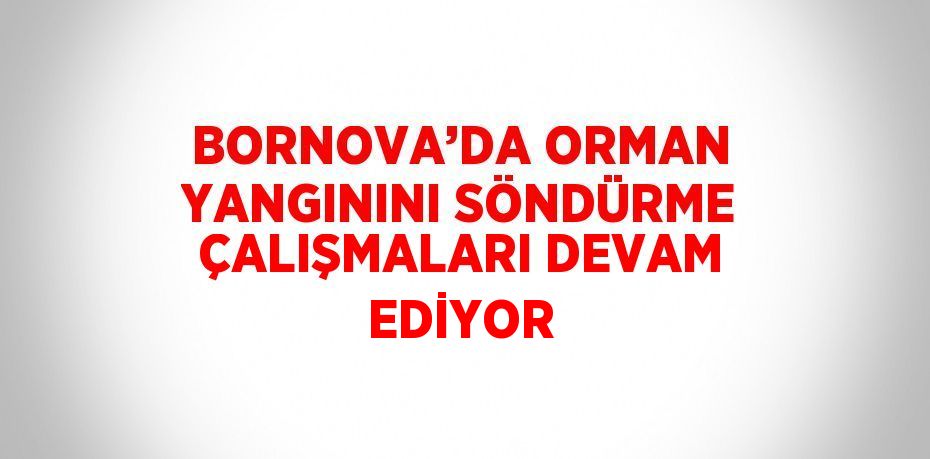 BORNOVA’DA ORMAN YANGININI SÖNDÜRME ÇALIŞMALARI DEVAM EDİYOR