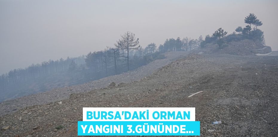 Bursa’daki orman yangını 3.gününde...