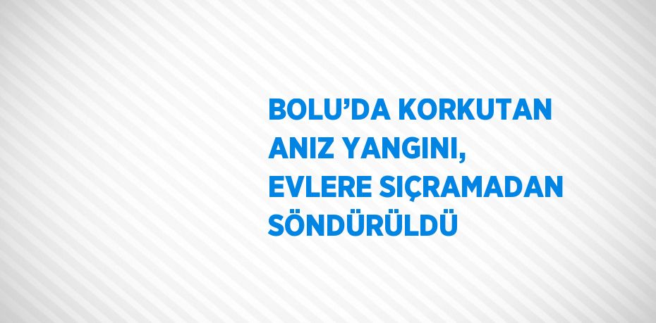BOLU’DA KORKUTAN ANIZ YANGINI, EVLERE SIÇRAMADAN SÖNDÜRÜLDÜ