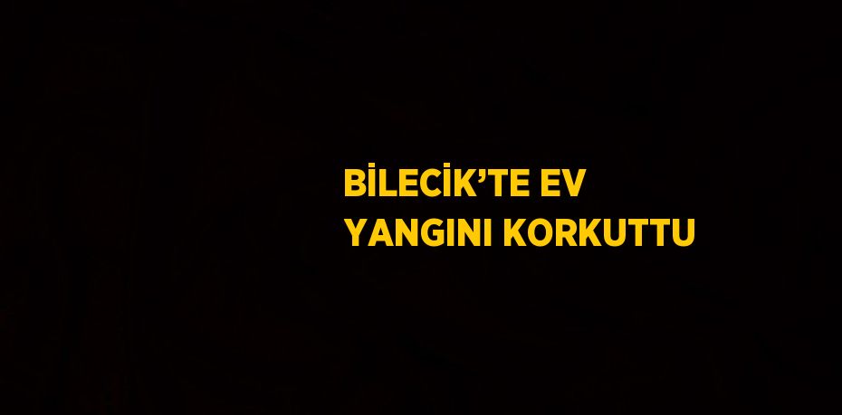BİLECİK’TE EV YANGINI KORKUTTU
