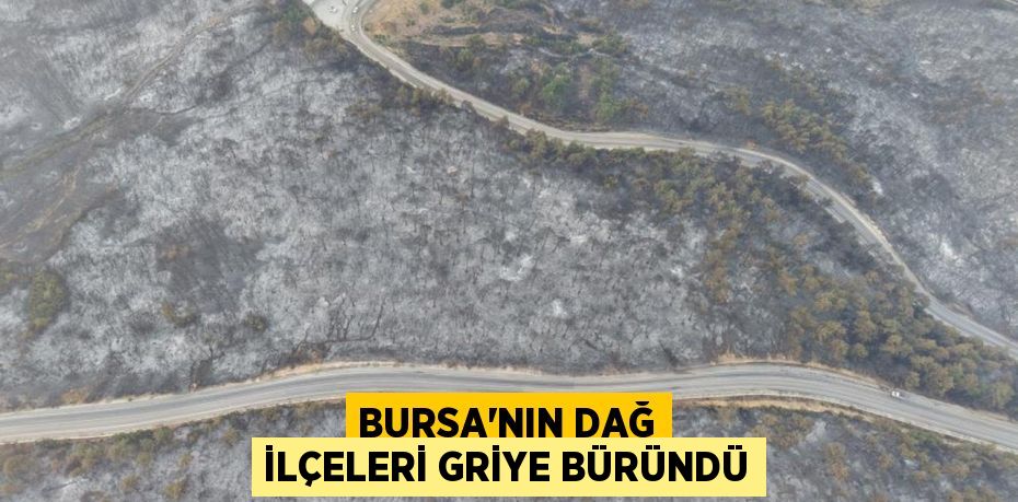 Bursa’nın dağ ilçeleri griye büründü