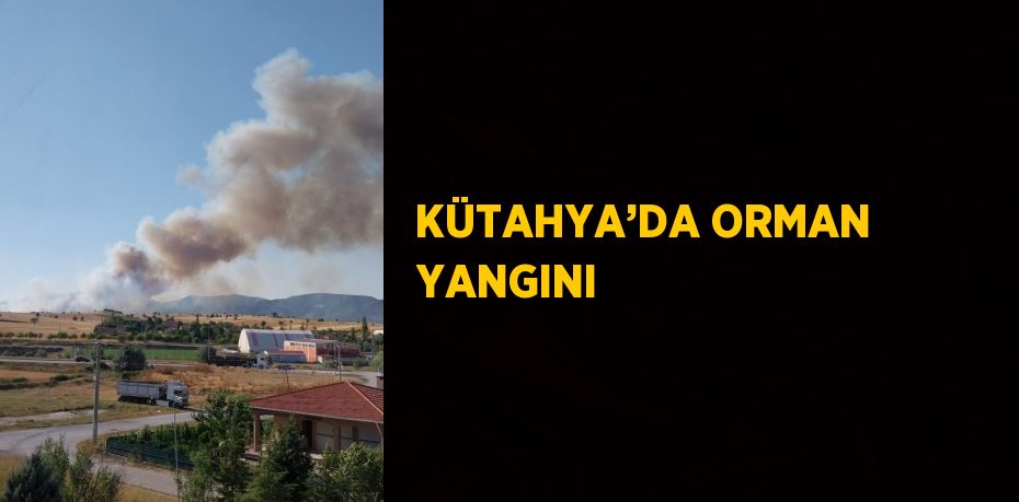 KÜTAHYA’DA ORMAN YANGINI