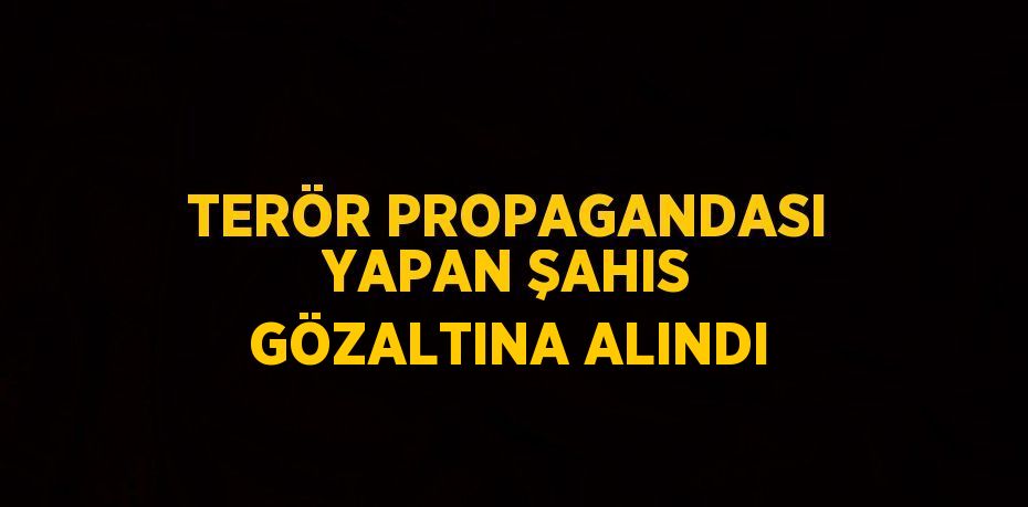 TERÖR PROPAGANDASI YAPAN ŞAHIS GÖZALTINA ALINDI