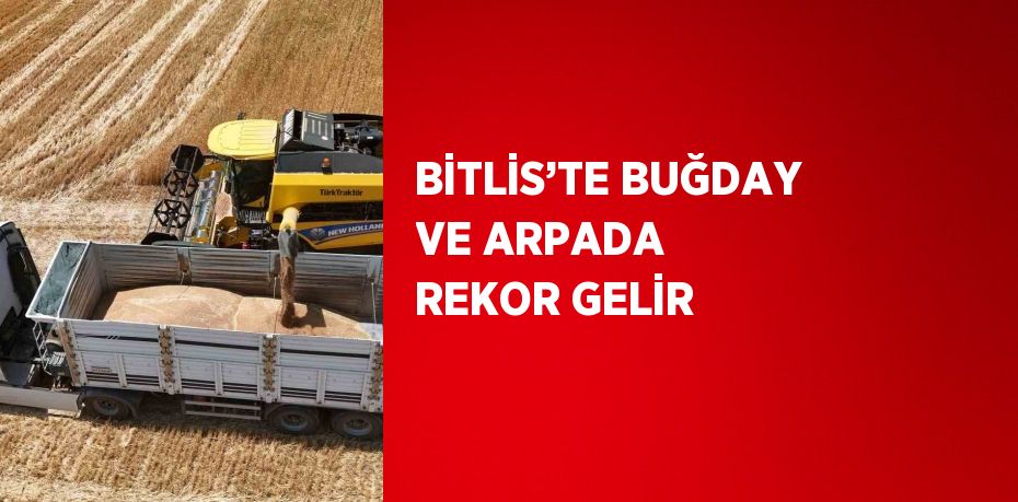 BİTLİS’TE BUĞDAY VE ARPADA REKOR GELİR