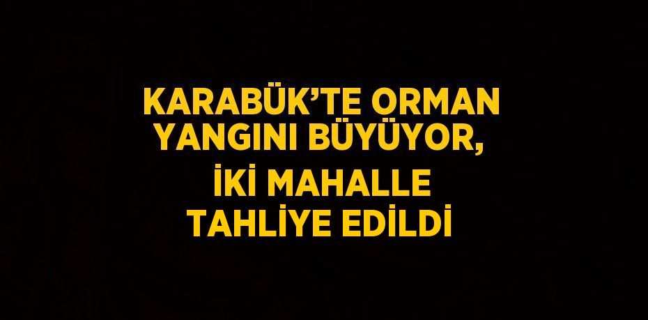 KARABÜK’TE ORMAN YANGINI BÜYÜYOR, İKİ MAHALLE TAHLİYE EDİLDİ