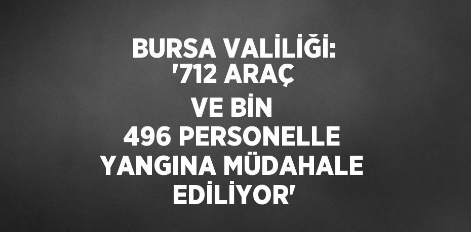 BURSA VALİLİĞİ: '712 ARAÇ VE BİN 496 PERSONELLE YANGINA MÜDAHALE EDİLİYOR'
