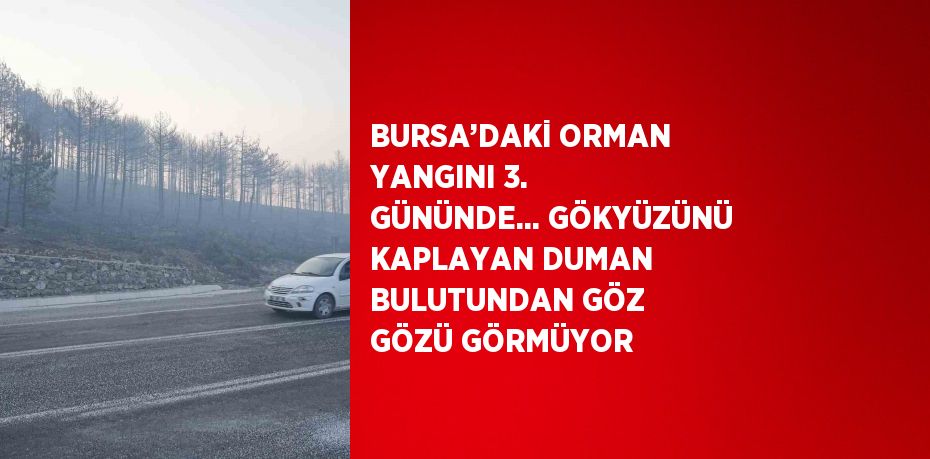 BURSA’DAKİ ORMAN YANGINI 3. GÜNÜNDE... GÖKYÜZÜNÜ KAPLAYAN DUMAN BULUTUNDAN GÖZ GÖZÜ GÖRMÜYOR