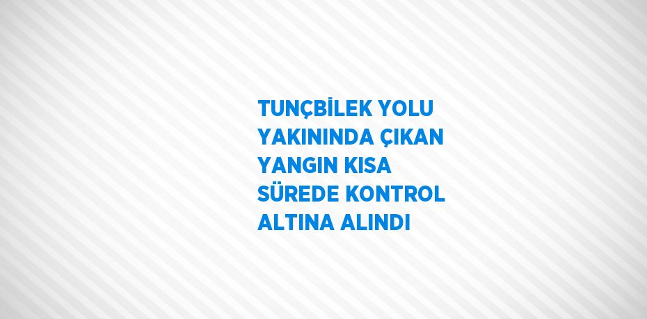 TUNÇBİLEK YOLU YAKININDA ÇIKAN YANGIN KISA SÜREDE KONTROL ALTINA ALINDI