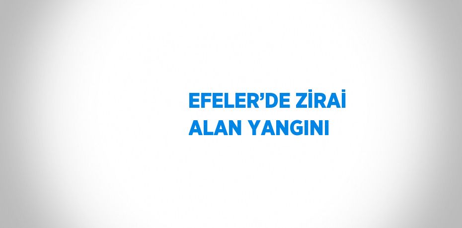 EFELER’DE ZİRAİ ALAN YANGINI