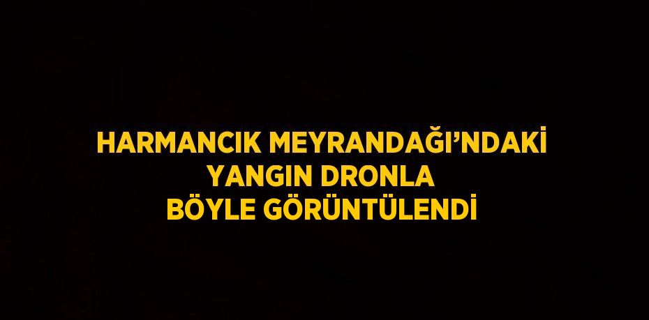 HARMANCIK MEYRANDAĞI’NDAKİ YANGIN DRONLA BÖYLE GÖRÜNTÜLENDİ