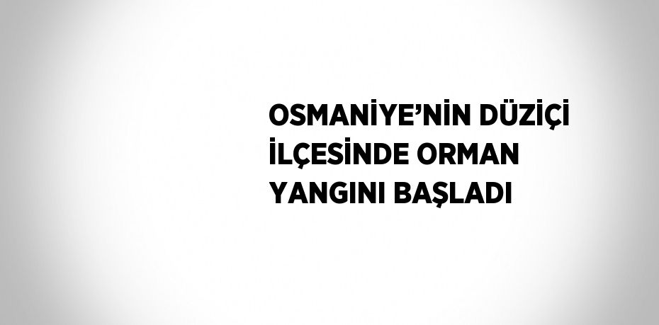 OSMANİYE’NİN DÜZİÇİ İLÇESİNDE ORMAN YANGINI BAŞLADI