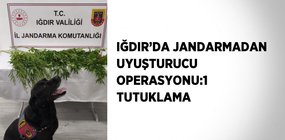 IĞDIR’DA JANDARMADAN UYUŞTURUCU OPERASYONU:1 TUTUKLAMA