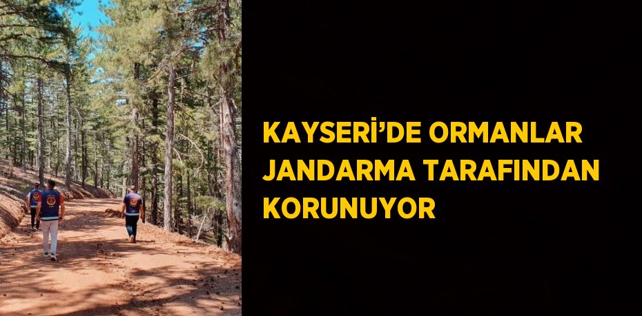 KAYSERİ’DE ORMANLAR JANDARMA TARAFINDAN KORUNUYOR