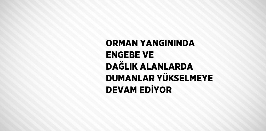 ORMAN YANGININDA ENGEBE VE DAĞLIK ALANLARDA DUMANLAR YÜKSELMEYE DEVAM EDİYOR
