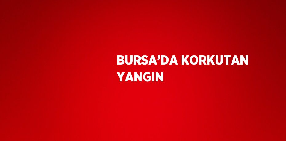 BURSA’DA KORKUTAN YANGIN