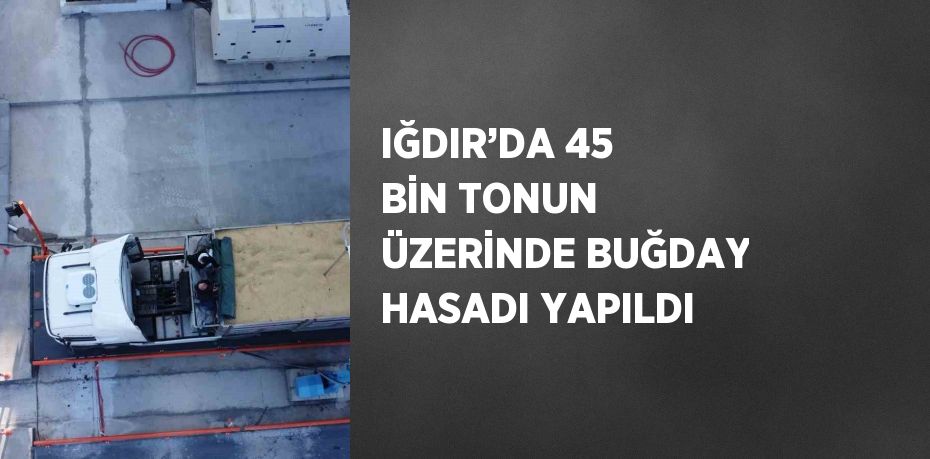 IĞDIR’DA 45 BİN TONUN ÜZERİNDE BUĞDAY HASADI YAPILDI