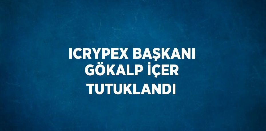 ICRYPEX BAŞKANI GÖKALP İÇER TUTUKLANDI
