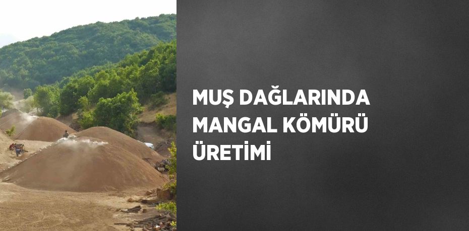 MUŞ DAĞLARINDA MANGAL KÖMÜRÜ ÜRETİMİ