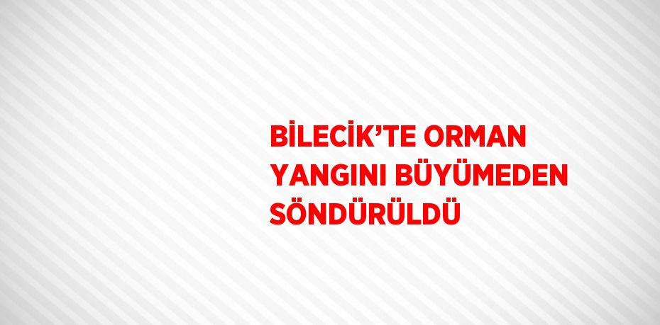 BİLECİK’TE ORMAN YANGINI BÜYÜMEDEN SÖNDÜRÜLDÜ