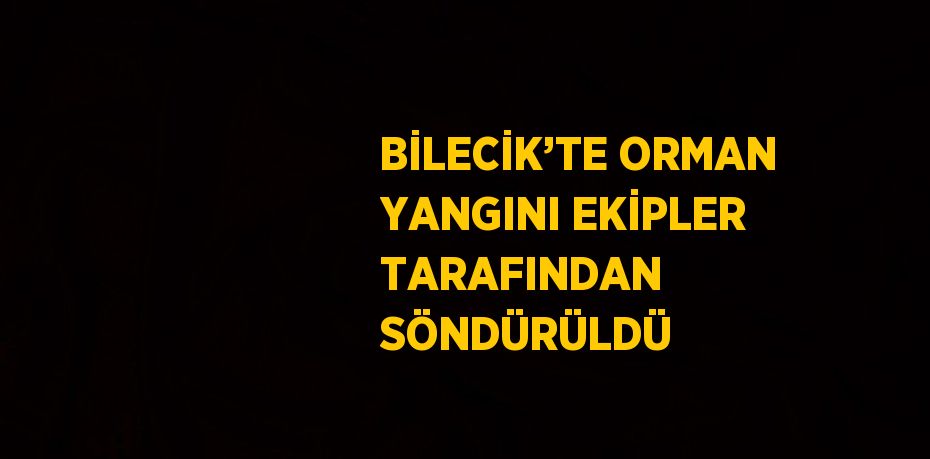 BİLECİK’TE ORMAN YANGINI EKİPLER TARAFINDAN SÖNDÜRÜLDÜ