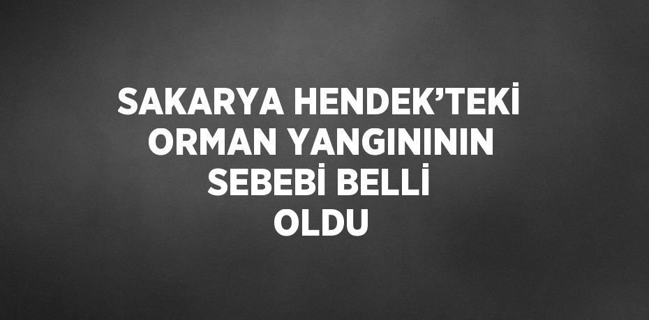 SAKARYA HENDEK’TEKİ ORMAN YANGINININ SEBEBİ BELLİ OLDU