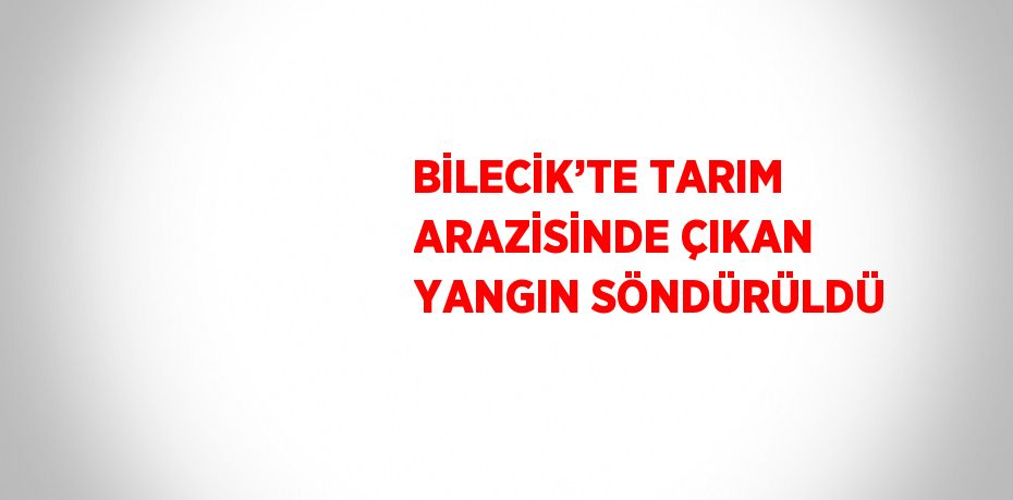BİLECİK’TE TARIM ARAZİSİNDE ÇIKAN YANGIN SÖNDÜRÜLDÜ